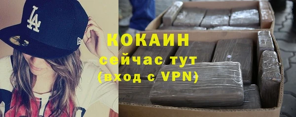 соль ск Вяземский