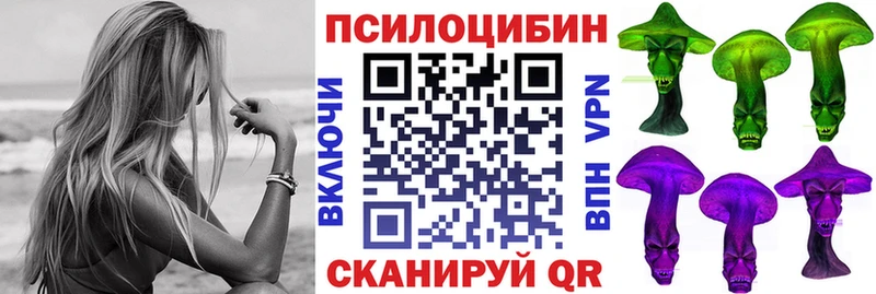Купить закладки  Тверь  Псилоцибиновые грибы мицелий 